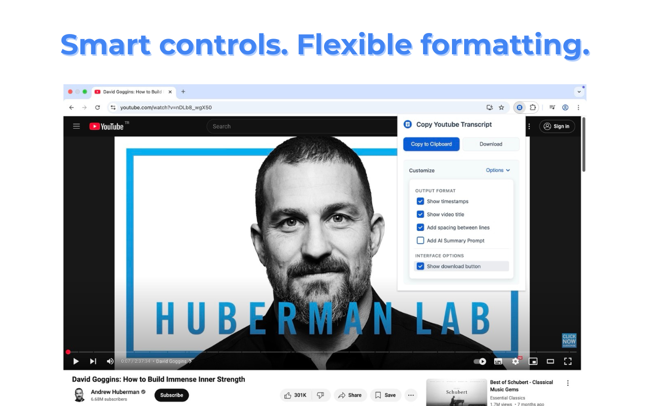 Copy Youtube Transcript - Image 1